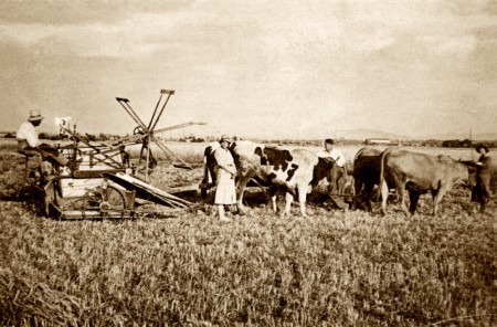P10 - Les moissons- Suzon et Michel, au fond le domaine de Coeur