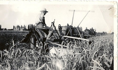 P25 - Bourrasol 1939