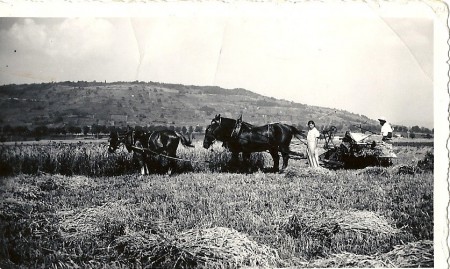 P29 - Bourrasol 1939